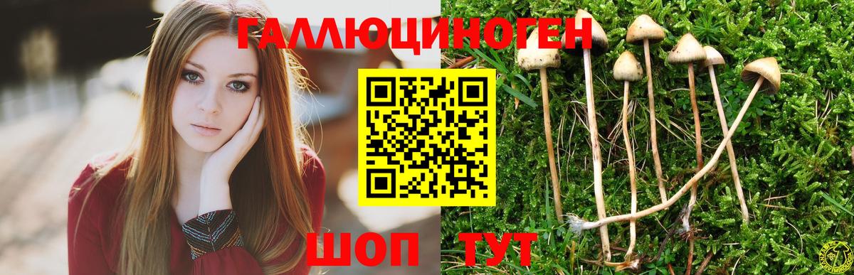 Псилоцибиновые грибы Cubensis Миасс